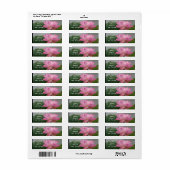 Roze Lotus Blossom Etiket (Full Sheet)