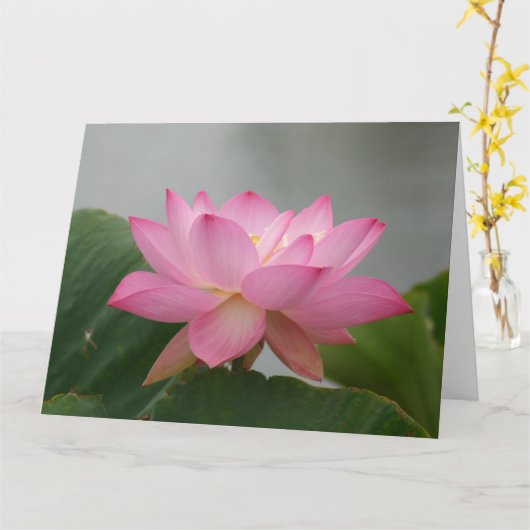 Roze Lotus Blossom Kaart (Gele Bloem)