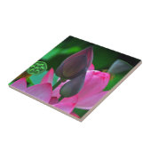 Roze Lotus Blossom Tegeltje (Zijkant)