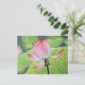 Roze Lotus Briefkaart (Staand voorkant)