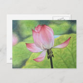 Roze Lotus Briefkaart (Voorkant / Achterkant)