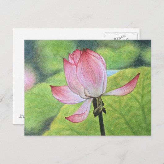 Roze Lotus Briefkaart (Voorkant / Achterkant)