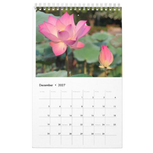 Roze Lotus Calendar Kalender (Dec 2027)