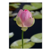 Roze Lotus Card