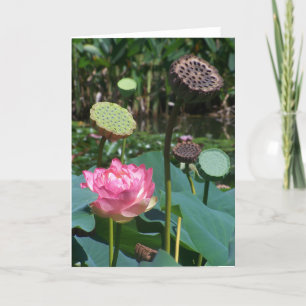 Roze Lotus en Pods - Wenskaart Feestdagen Kaart