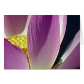 Roze Lotus Flower (Voorkant Horizontaal)