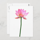 Roze Lotus Flower Briefkaart (Voorkant / Achterkant)
