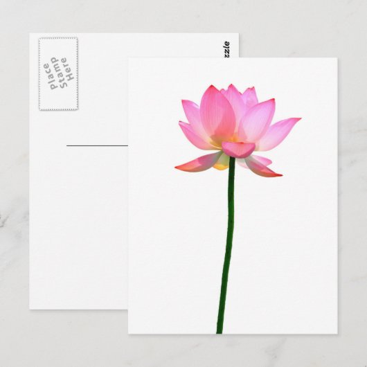 Roze Lotus Flower Briefkaart (Voorkant / Achterkant)