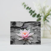 Roze Lotus Flower Briefkaart (Staand voorkant)