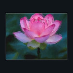 Roze Lotus Flower Briefkaart<br><div class="desc">roze lotusbloem met groen op de achtergrond</div>
