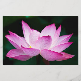 Roze Lotus Flower Briefpapier