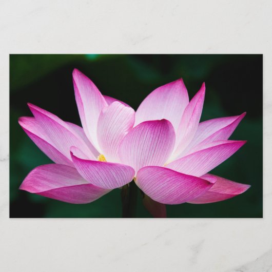 Roze Lotus Flower Briefpapier (Voorkant)