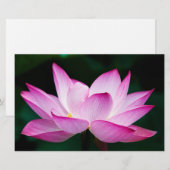Roze Lotus Flower Briefpapier (Voorkant / Achterkant)