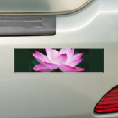 Roze Lotus Flower Bumpersticker (Op auto)