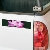 Roze Lotus Flower Bumpersticker (Op Truck)
