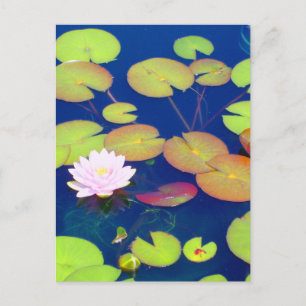 Roze Lotus Flower die drijft met lippenstift op vi Briefkaart