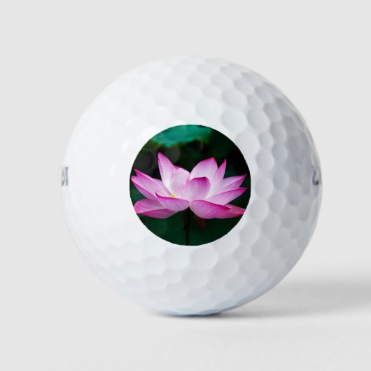 Roze Lotus Flower Golfballen (Voorkant)