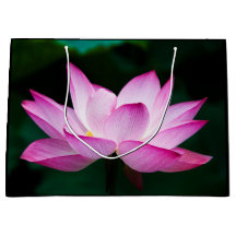 Roze Lotus Flower