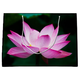 Roze Lotus Flower Groot Cadeauzakje