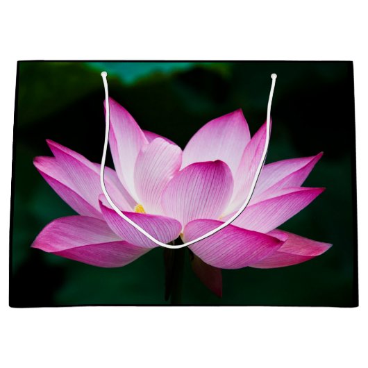 Roze Lotus Flower Groot Cadeauzakje (Voorkant)
