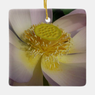 Roze Lotus Flower I Summer Floral Keramisch Ornament