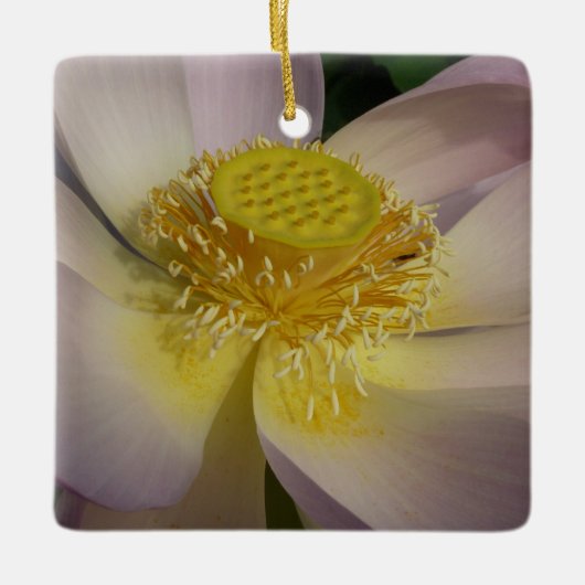 Roze Lotus Flower I Summer Floral Keramisch Ornament (Voorkant)