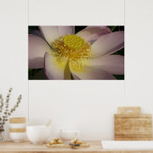 Roze Lotus Flower I Summer Floral Poster (Keuken)