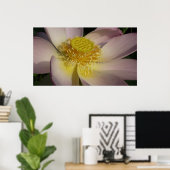 Roze Lotus Flower I Summer Floral Poster (Thuiskantoor)