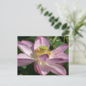 Roze Lotus Flower II Summer Floral Briefkaart (Staand voorkant)