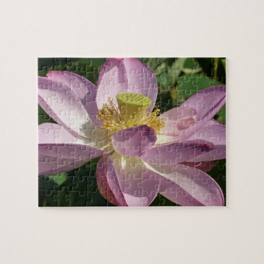 Roze Lotus Flower II Summer Floral Legpuzzel (Horizontaal)