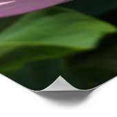 Roze Lotus Flower II Summer Floral Poster (Hoek)