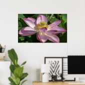 Roze Lotus Flower II Summer Floral Poster (Thuiskantoor)