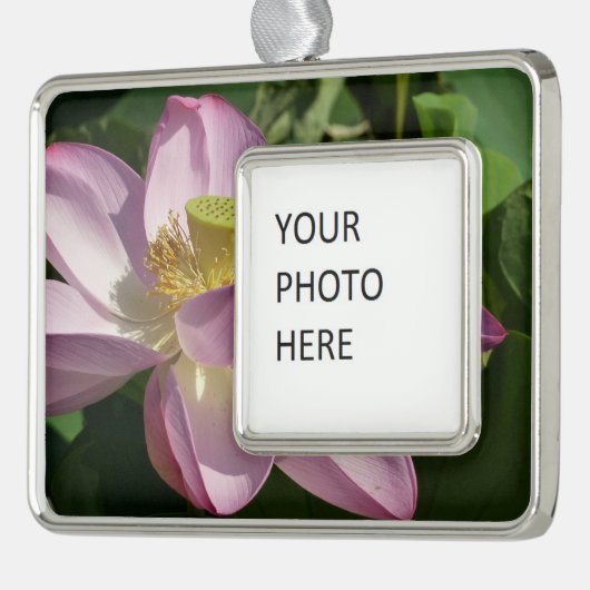 Roze Lotus Flower II Summer Floral Verzilverd Omlijst Ornament (Links)