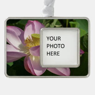Roze Lotus Flower II Summer Floral Verzilverd Omlijst Ornament