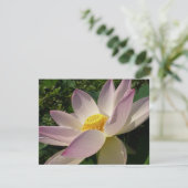 Roze Lotus Flower III Summer Floral (Staand voorkant)