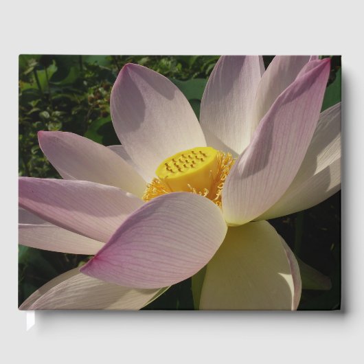Roze Lotus Flower III Summer Floral Gastenboek (Voorkant)
