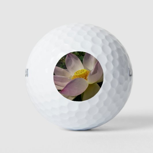 Roze Lotus Flower III Summer Floral Golfballen (Voorkant)