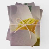 Roze Lotus Flower III Summer Floral Inpakpapier Vel (In situ)