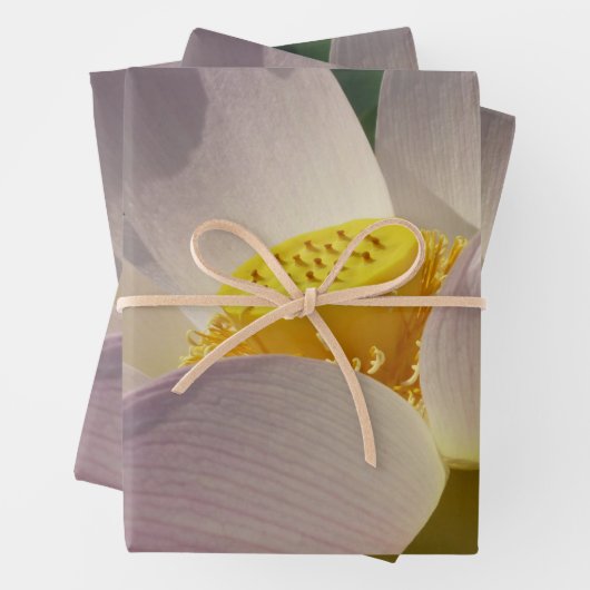 Roze Lotus Flower III Summer Floral Inpakpapier Vel (In situ)