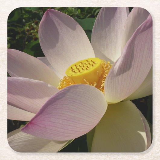 Roze Lotus Flower III Summer Floral Kartonnen Onderzetters (Voorkant)