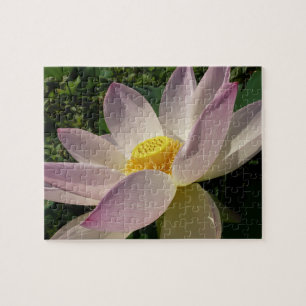 Roze Lotus Flower III Summer Floral Legpuzzel
