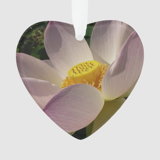 Roze Lotus Flower III Summer Floral Ornament (voorkant)