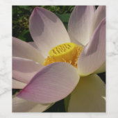 Roze Lotus Flower III Summer Floral Wijn Etiket (Enkel label)