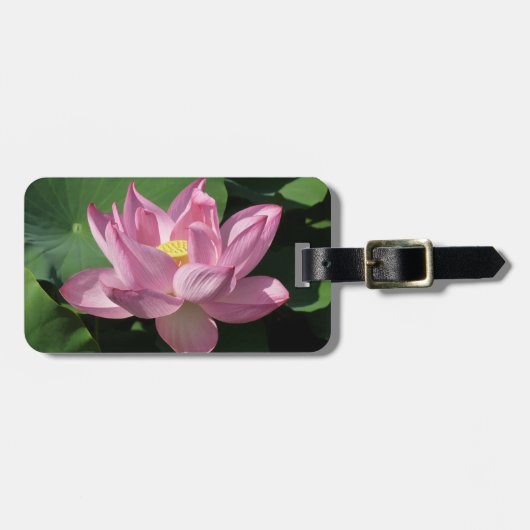 Roze Lotus Flower IV Bagagelabel (Voorkant horizontaal)