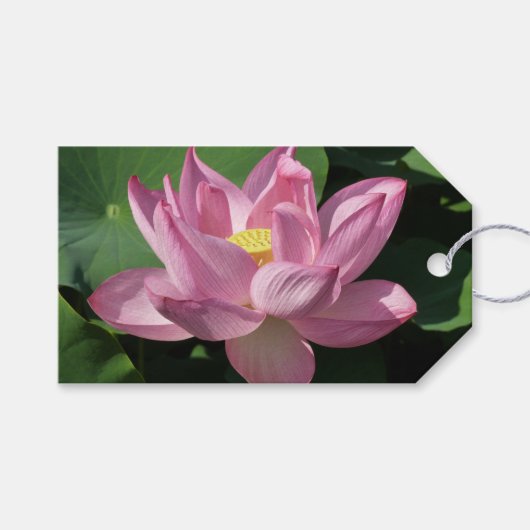 Roze Lotus Flower IV Cadeaulabel (Voorkant (Horizontaal))