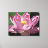 Roze Lotus Flower IV Canvas Afdruk (Voorkant)