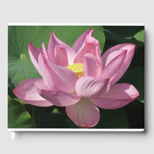 Roze Lotus Flower IV Gastenboek (Voorkant)