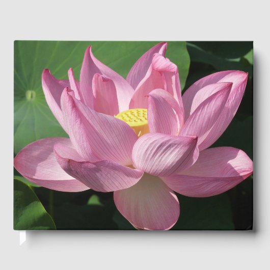 Roze Lotus Flower IV Gastenboek (Voorkant)