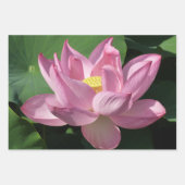 Roze Lotus Flower IV Inpakpapier Vel (Voorkant)