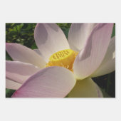 Roze Lotus Flower IV Inpakpapier Vel (Voorkant 3)